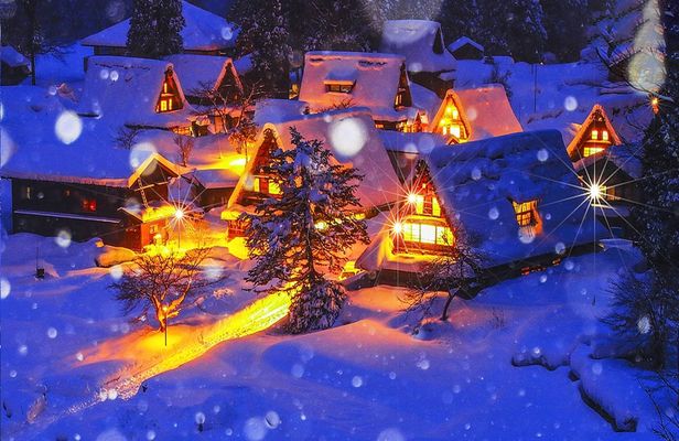Takayama and Shirakawago winter lights guided tour from Nagoya