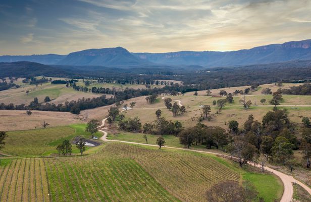 Megalong Valley winery tour with tasting and lunch