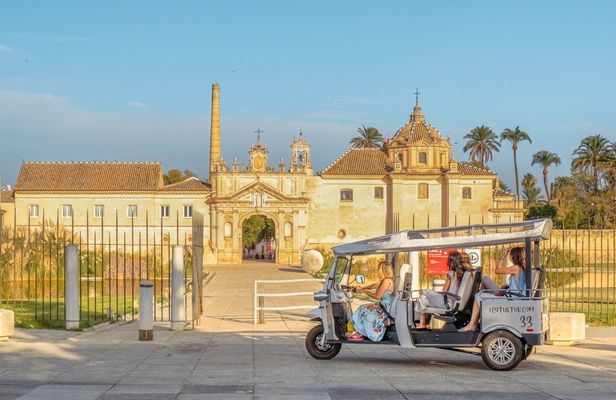 2-hour expert tour of Seville in a private electric tuk-tuk