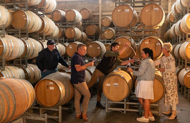 Coonawarra Full-Day Wine Tour with Gourmet Lunch