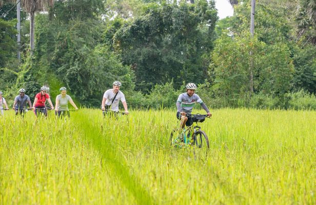 Half-day cycling tour in Siem Reap
