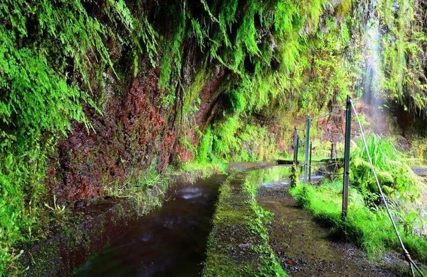 Full-day Levada do Rei walking tour to Ribeiro Bonito
