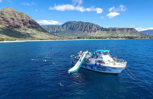 West O'ahu Dolphin Cruise with Snorkelling Water Activities and Lunch