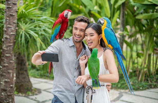 Bali Bird Park entrance ticket