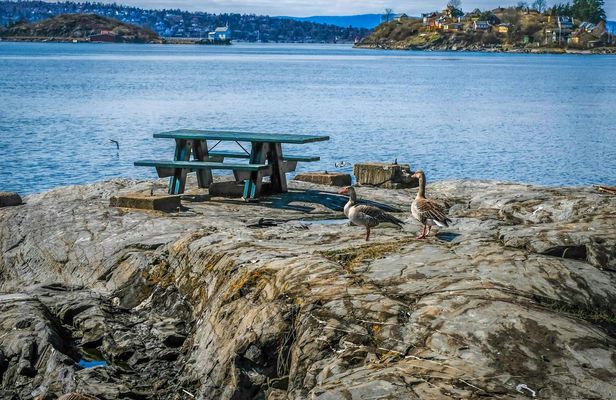 Oslofjord island hopping tour