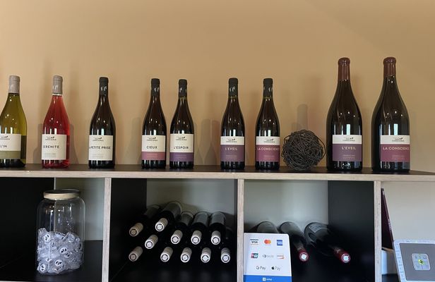 Terrasses du Larzac full day olive oil and wine experience