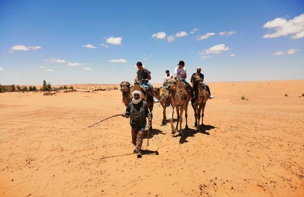 Ksar Ghilane Day Tour