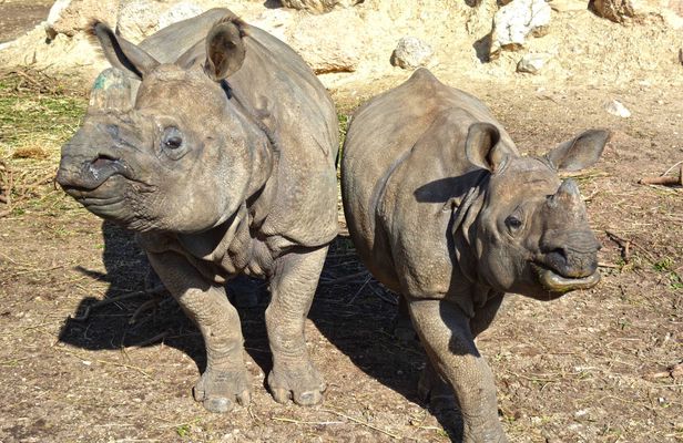 Terra Natura Zoo tickets