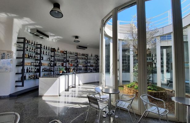 Berchidda Wine Museum entrance ticket with wine tasting