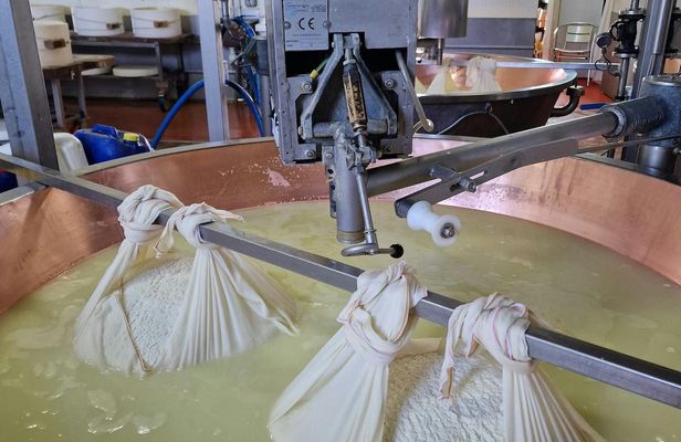 Super Cars, Parmesan, Vinegar Guide Tour with Lunch & Transfer