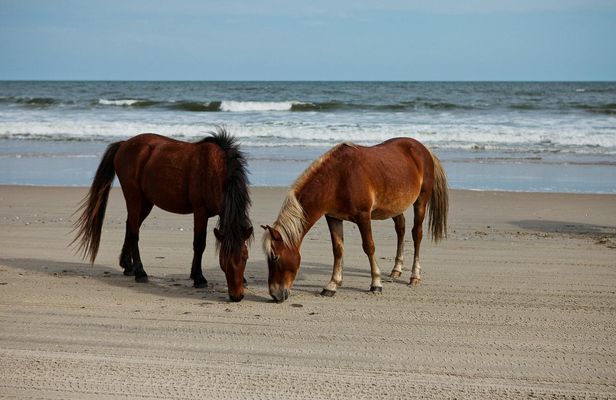 Outer Banks Self-Guided Audio Driving Tour