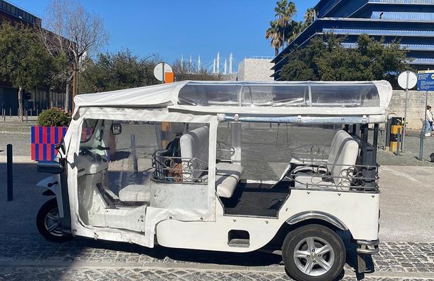 3-hour guided tour of Lisbon by tuk-tuk