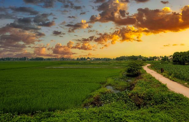 Half-day quad bike adventure in rural Hoi An with BBQ