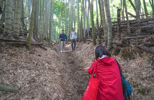 Fushimi Inari hidden hiking tour