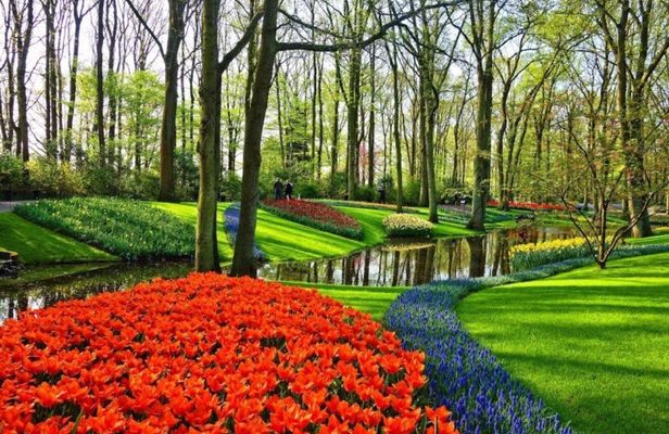 Keukenhof and Giethoorn Private Sightseeing Tour from Amsterdam