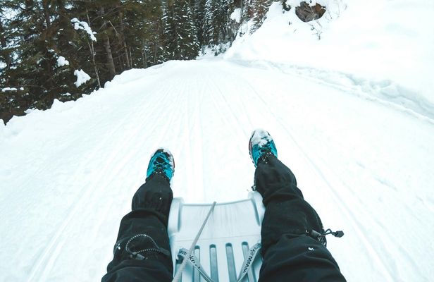 Night Sledding in the Alps from Interlaken