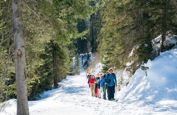 Winter Alpine Adventure with Lunch