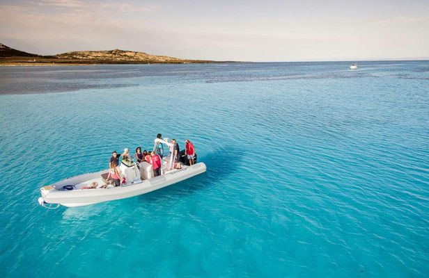 Half-Day Dinghy Tour in Asinara Gulf from Stintino
