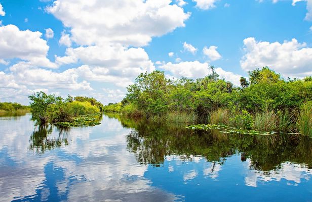 Everglades Tour from Miami