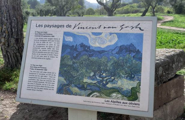 In the Footsteps of Van Gogh in Provence from Avignon