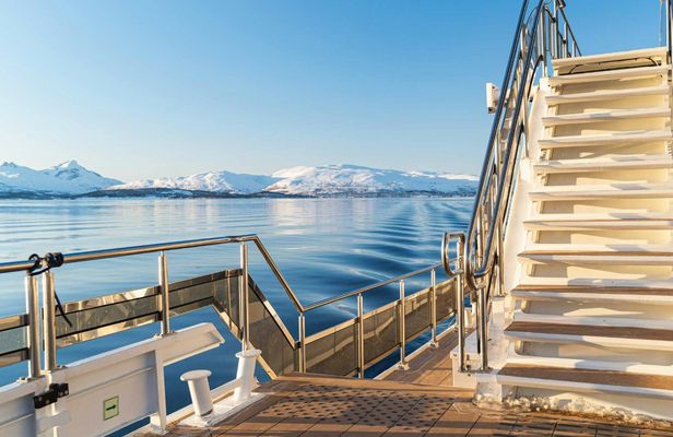 Tromsø fjord and wildlife cruise