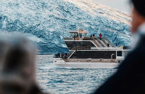 Silent whale watching tour by boat