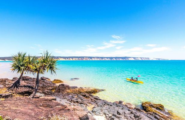 Noosa Double Island Point Wildlife adventure private day tour