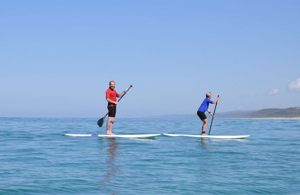 Stand Up paddle wildlife tour and beach 4x4 Noosa day trip
