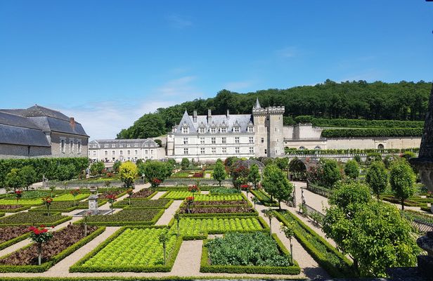 Guided visit Villandry & Azay-le-Rideau Châteaux from Tours