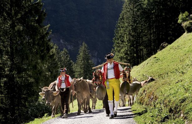 Mountain excursion with cheese and chocolate