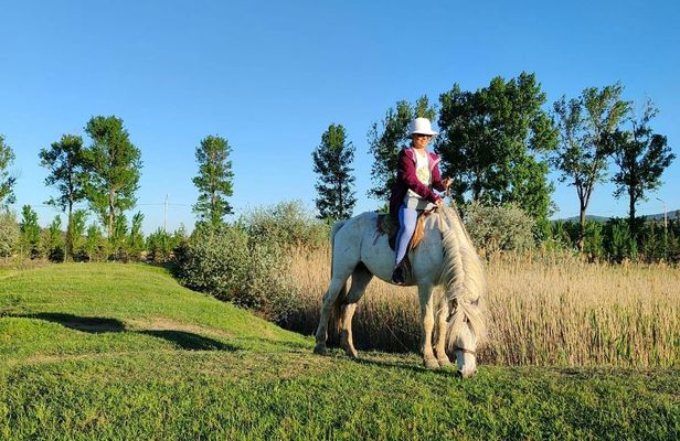 Horse riding tour in Tbilisi