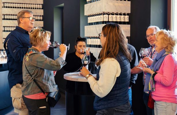 Half-day wine tour of the Medoc