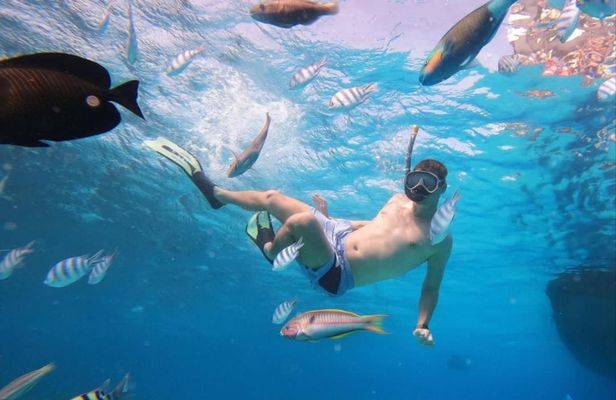 Bali full-day Blue Lagoon snorkeling trip