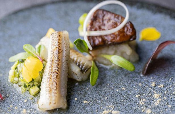 Premium Dinner Course at Gendai Satoyama Ryouri ZEN HOUSE Restaurant