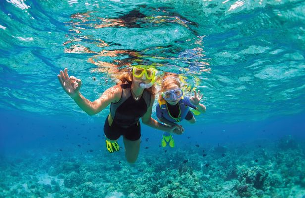 Albatros Beach Club Isla Mujeres Ticket