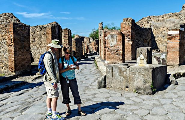Pompeii shared tour from Naples