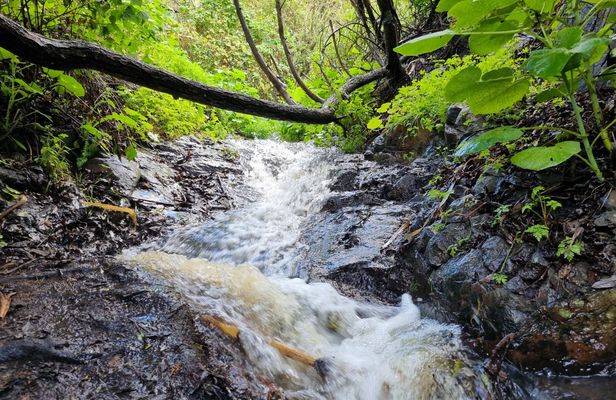 Waterfalls of Gran Canaria hiking tour with pickup and lunch