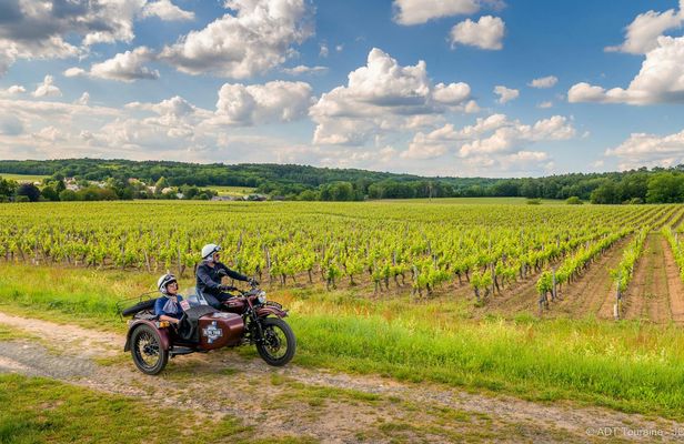Full-day sidecar tour of the Loire Valley from Tours