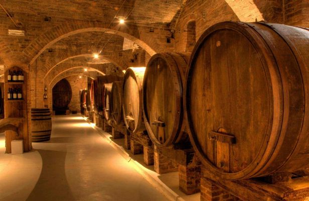 Primitivo & Negroamaro Wine Tour from Lecce with Typical Lunch