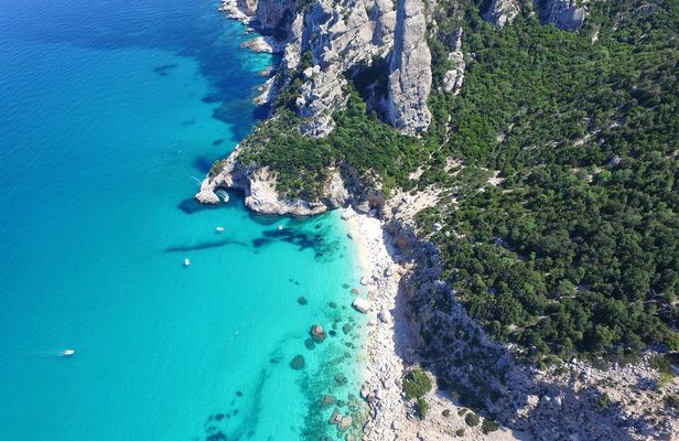 One day guided boat tour along the Baunei’s coast