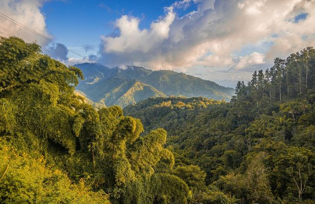 Half-Day Blue Mountain Sightseeing Private Hiking Tour