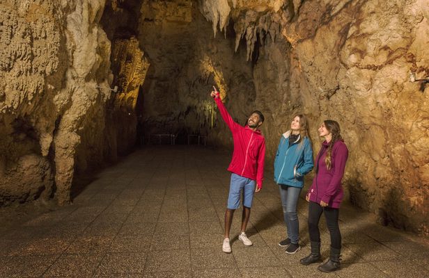 Triple cave experience - Waitomo Glowworm,  Ruakuri and Aranui Cave