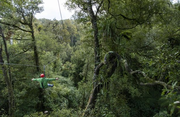 The ultimate canopy experience