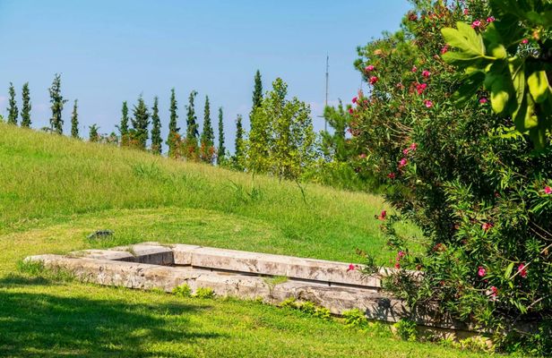 Polycentric and Royal Graves of Aigai Museum tickets with audio tour