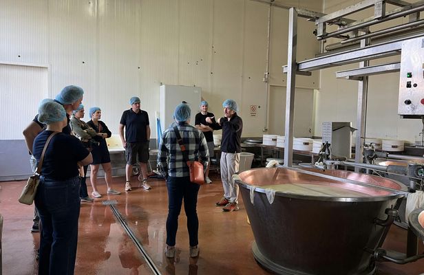 Full Day Parmiggiano and Balsamic Vinegar Tour with Lunch and Transfer