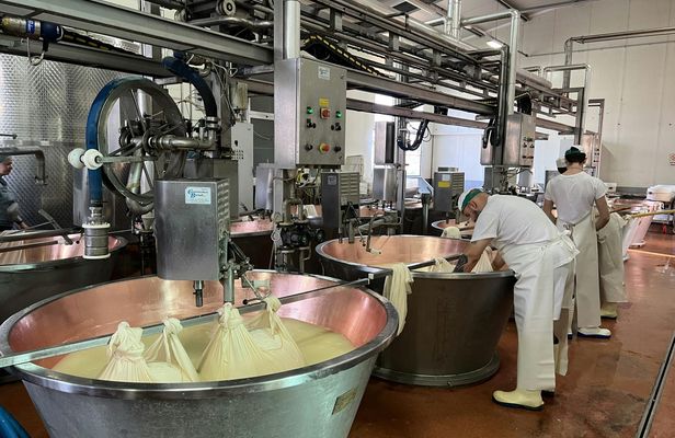 Parmiggiano, Wine and Balsamic Full Day Tour with Lunch from Bologna