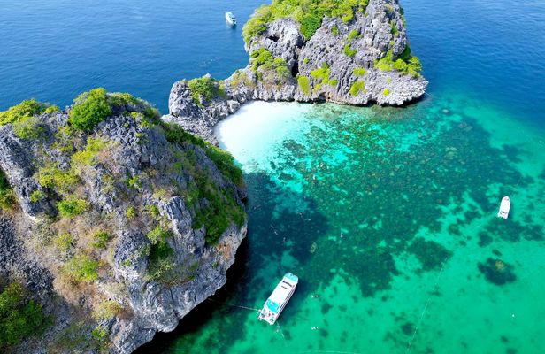 Koh Haa and Koh Rok snorkel tour by speedboat from Koh Lanta Yai