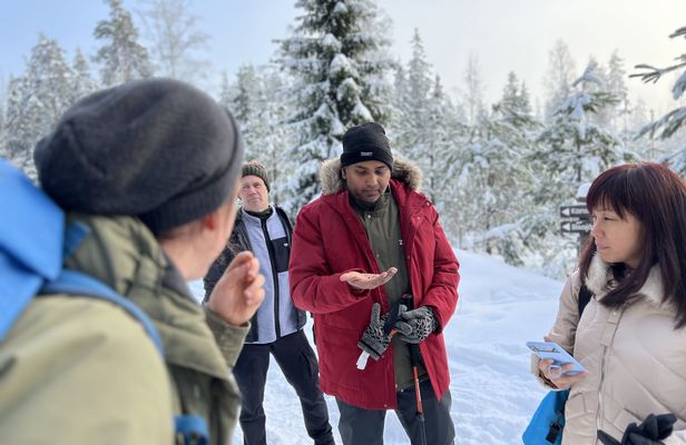 Winter wonderland hike