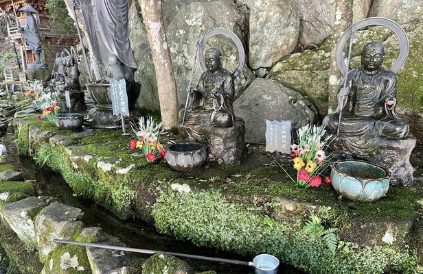 Miyajima Half-Day Trip Historical Walking Tour