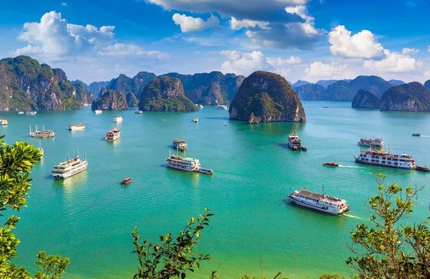 Full-Day Halong Bay, Surprising Cave and Titop Island Guided Tour